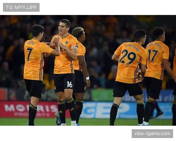 埃弗顿中场表现稳健，新战术成球队状态回暖关键